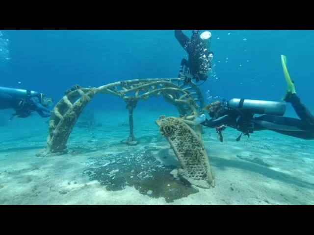 3D VR Zoe - A Living Sea Sculpture team at work