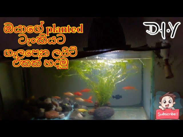 අඩු වියදමකින් ලේසියෙන්ම ලයිට් එකක් ...diy aquarium light sinhala#light #D.I.Y