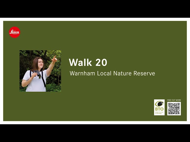 Back to my local patch, Warnham LNR - 20th '21 Wildlife Walks!'