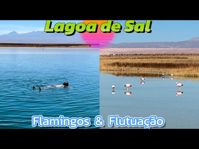 Lagoa Flutuação Chile2024 (Sem Agência) Laguna Cesar San Pedro Atacama Chile