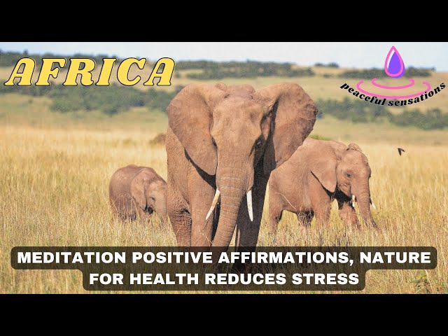 meditation nature music, meditation positive affirmations, nature for health reduces stress #africa