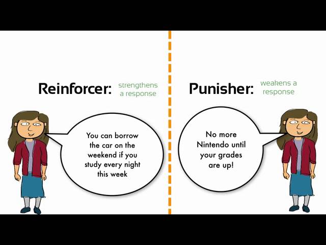 Learning  Negative Reinforcement vs  Punishment