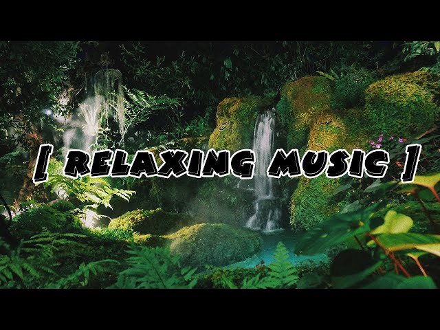 Rain Sounds with Tibetan Singing Bowls and Birds chirping [ Relaxing Music ]