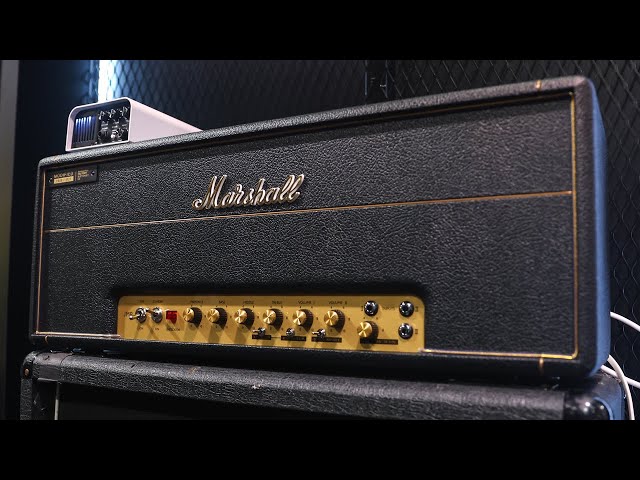 NEW Marshall 1959 Modified and JCM800 Modified Amps | NAMM 2025