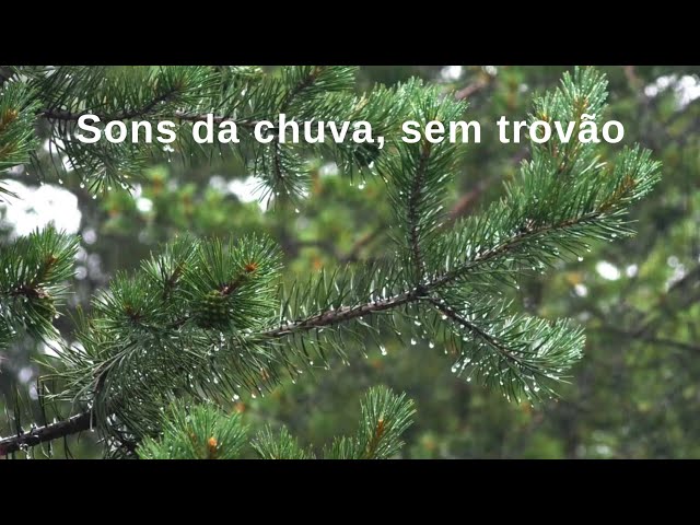 Som de chuva para dormir e relaxar com melodia suave