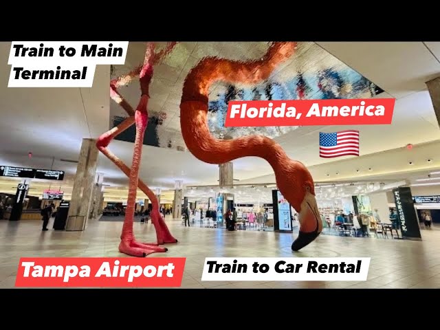 Tour of Tampa International Airpot, TPA | Train to Tampa airport Car Rental centre, Florida, USA