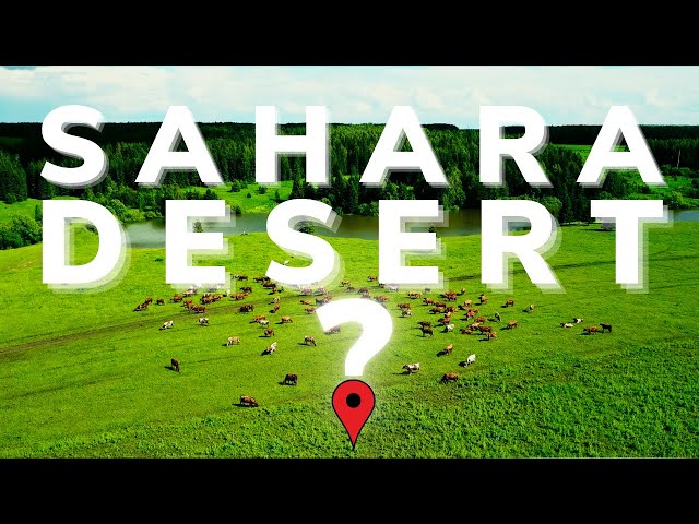 Discover The Absolutely Spectacular African Sahara Desert