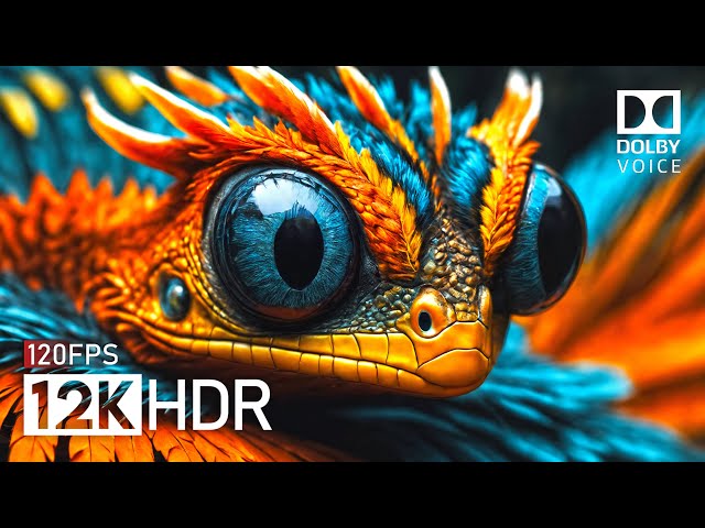 IMPRESSIVE DOLBY VISION - 12K HDR 120FPS