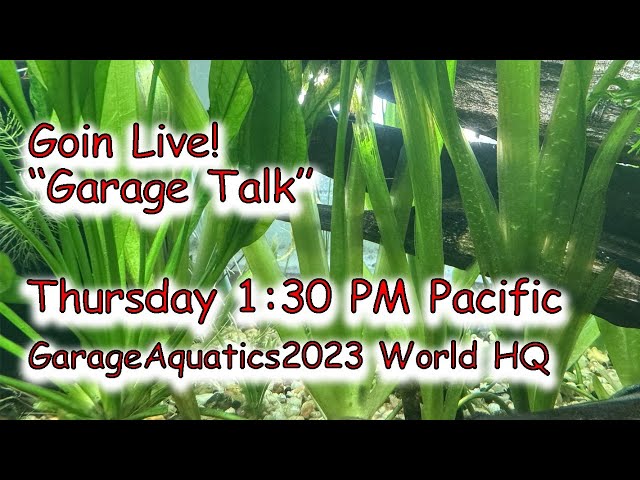 Garage Talk From GarageAquatics World HQ 2025-01-30