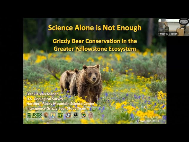 Science Alone is Not Enough: Grizzly Bear Conservation in the Greater Yellowstone Ecosystem