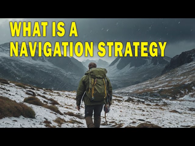 Navigation Strategies