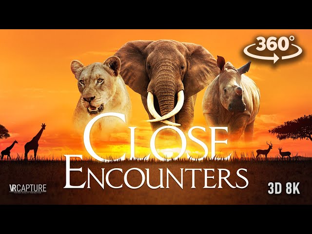 Close Encounters - Trailer (3D 360º 8K)