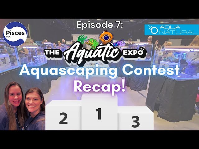 Episode 7: Inside the Aquatic Expo Aquascaping Competition