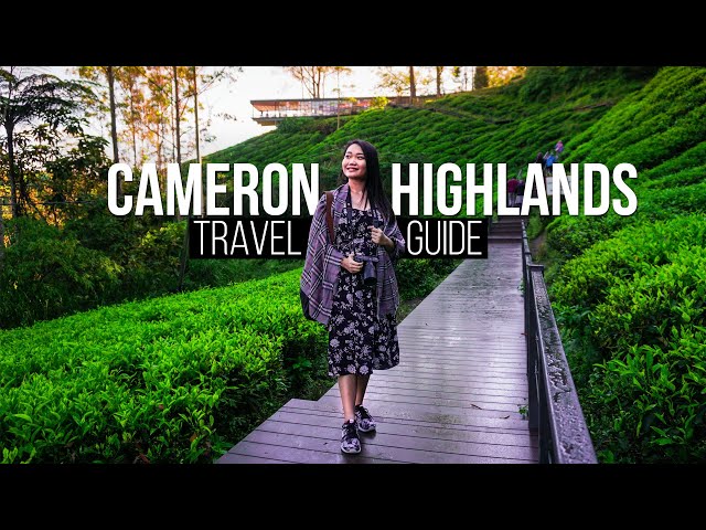 CAMERON HIGHLANDS | Complete Travel Guide  | Travel Malaysia