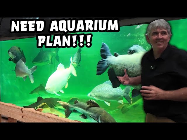 Aquarium Plans and More Reptiles