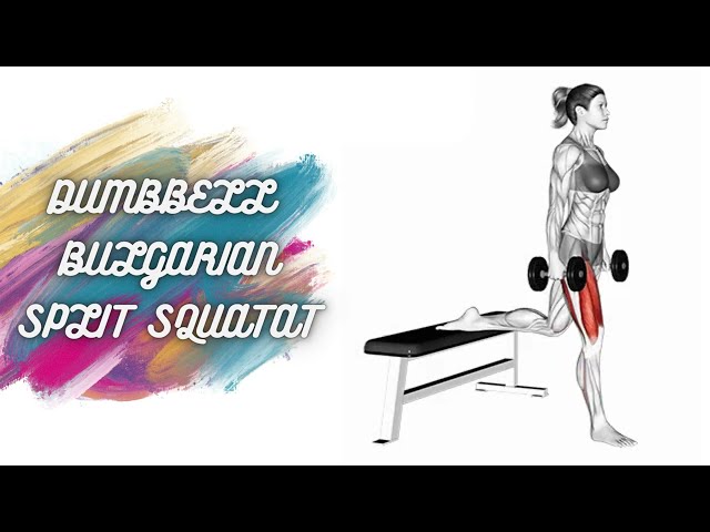 How To Properly Dumbbell Bulgarian Split Squat l Squat Easy Steps l Squat exercise