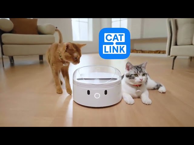 Catlink F03 RFID Pet Feeder