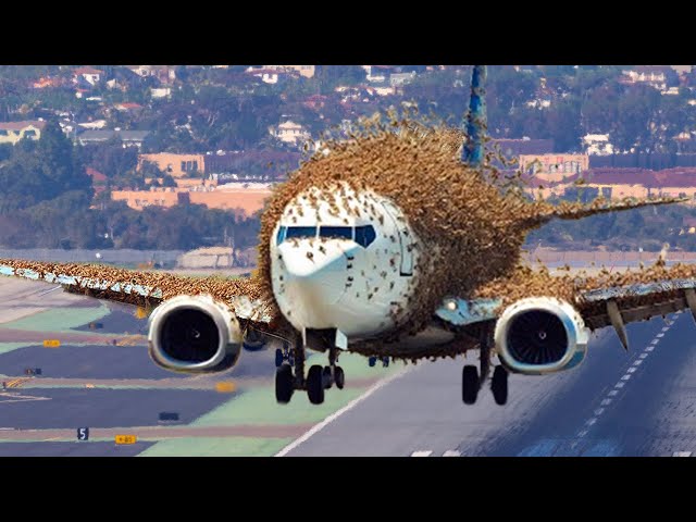 Amazing Flight Moments Caught on Camera You've Never Seen Before