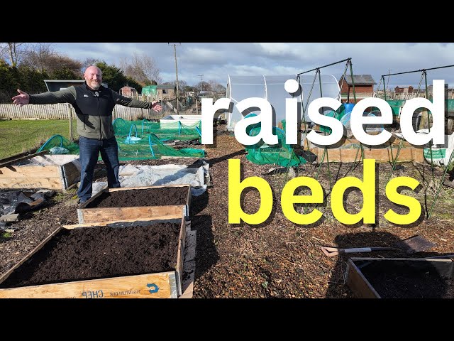 Transforming The Allotment Garden: Creating New Raised Beds