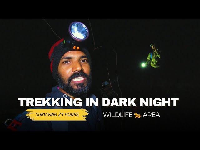 Trekking in dark! Camping and fishing 🎣.#goaadventures #camping #nightlife