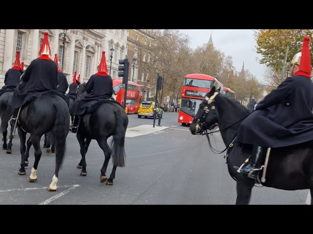 Respect & Honour: homecoming of The Blues and Royals from the Horse Guards in London