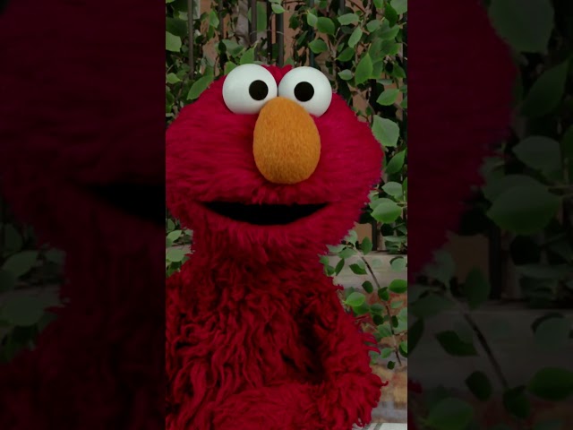 Elmo Checks In with Rocco #sesamestreet