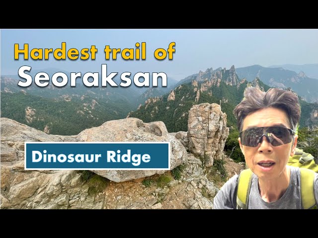 I've completed the famous Dinosaur Ridge walk!