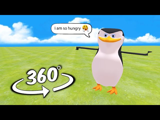 penguin (emotional) #2 But it's 360 VR video