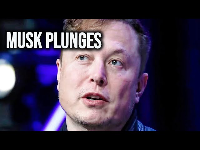 Elon Musk DESTROYS His Own Company As Tesla Sales Crater Worldwide