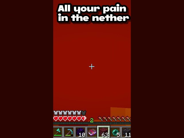 All Your Nether Pain #minecraft