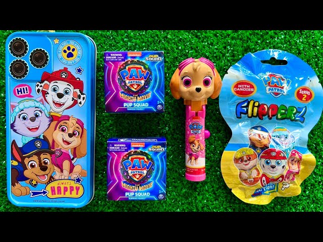 Opening Paw Patrol Toys 🎁 MYSTERY BOX 🤫