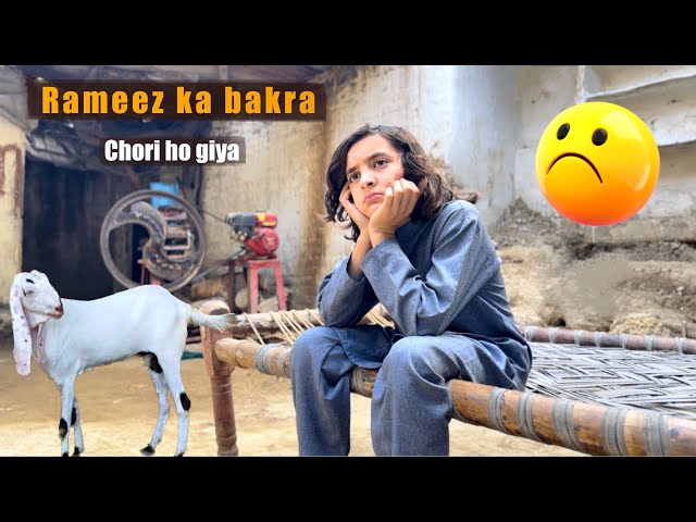 Rameez ke Qurbani ka bakra Gayab | Naeem aw Rameez