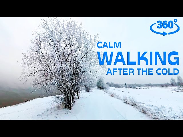 |360 VR video| Winter Scenes for VIRTUAL WALKING slowly - winter sensory video for treadmill