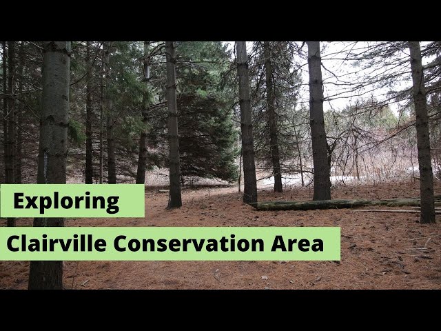 Exploring Claireville  Conservation Area in Toronto