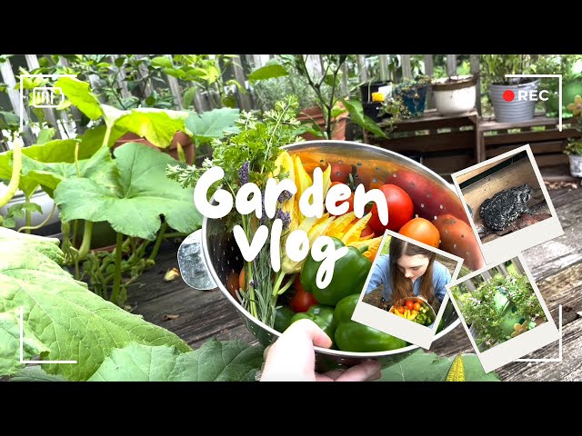 A Realistic Day In My Life GARDENING, Harvesting, Making Food