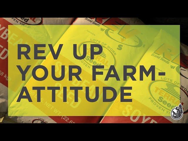 Grain Seed Supplier Commercial - “Seed with Attitude” | Terral Seed