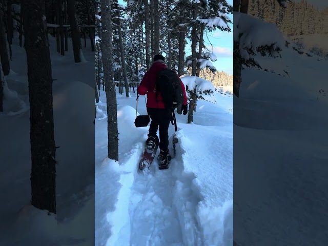 Conquering the Snow: Exhausting Struggles Even With Snowshoes #travel #photography #shortvideo #art