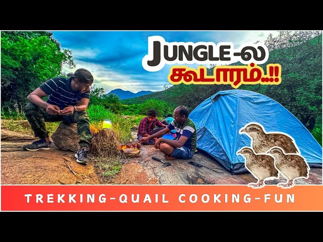 Camping Inside Heart of The Jungle | Hiking & Quail BBQ | Campfire | Primitive Cooking