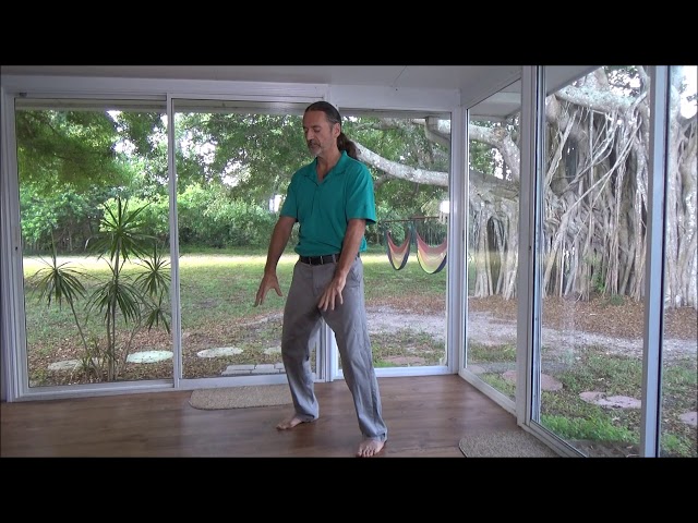 *Qigong Full Class - Learn To Channel & Circulate Life Force*