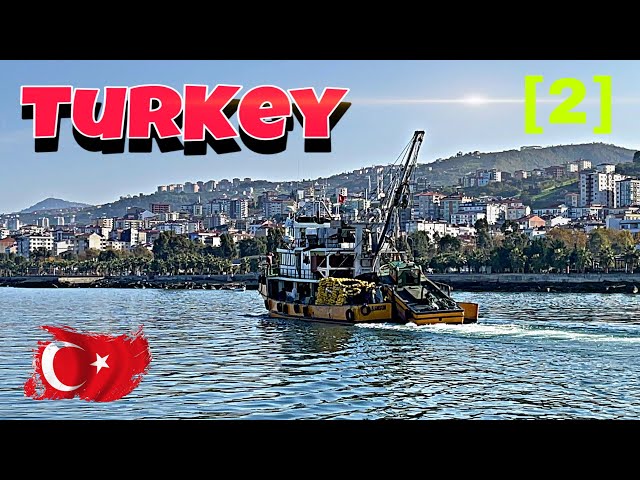 ресторан на море | кормим рыбу чаек и уток|Турция|turkey [2]