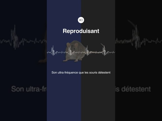 Sons que les souris détestent - Sons à haute fréquence de 17 kHz et 20 kHz