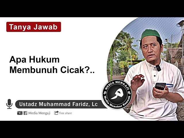 Apa Hukum Membunuh Cicak?..