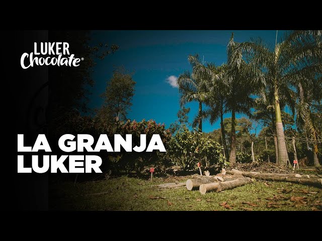 Chocolate Crafted at Origin - Granja Luker