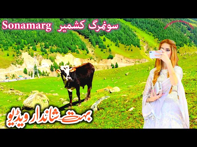 sonamarg ke beautiful video|kashmir| gojri pahari channel