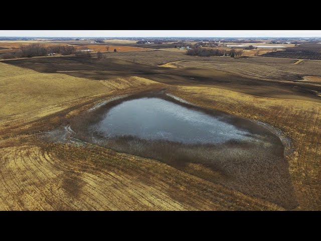 Agricultural Wetland Bank: Kandiyohi County, Minnesota