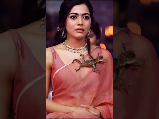 A lizard falls on Rashmika 😱 #music #pop #song #lyrics #cover #love #shorts #funny #ai