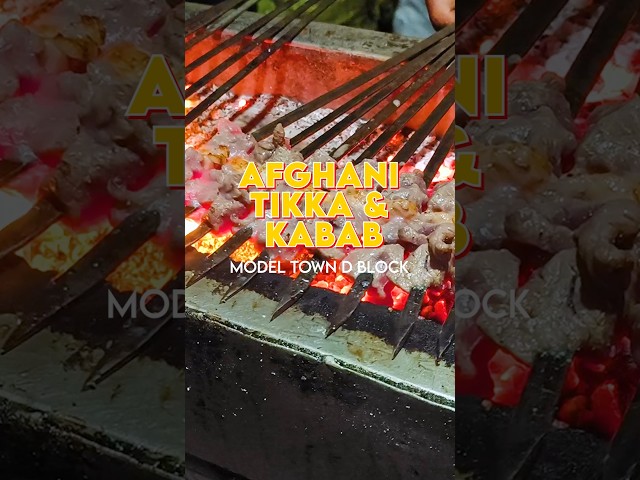 Is this Afghani Tikka & Kabab Worth its Price? | Model Town D Block BBQ | Bhaiya Kabab