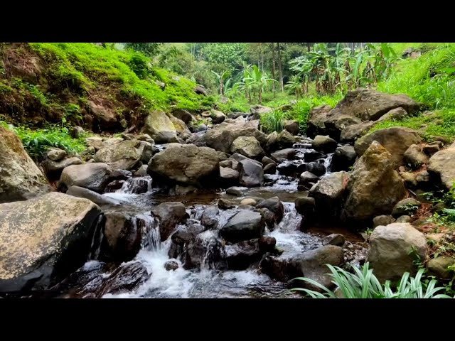 Gentle River Flow Sounds to Soothe Your Soul and Relieve Sleep Troubles | LuLu Sounds