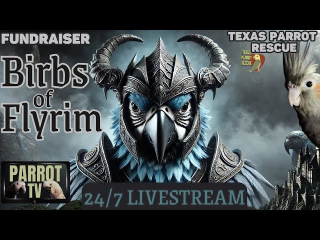 Birbs of Flyrim: Medieval RPG/Skyrim Inspired Music w/Nature Sounds for Birds | Parrot Town TV 🎮🎶🦜