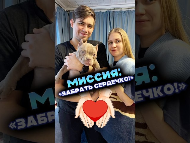 Будьте осторожны! Наши щенки могут красть ваше сердце 🛑